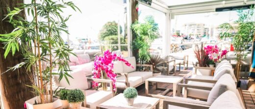 Terrasse ensoleillée avec meubles confortables, tables boisées, plantes et fleurs roses éclatantes.